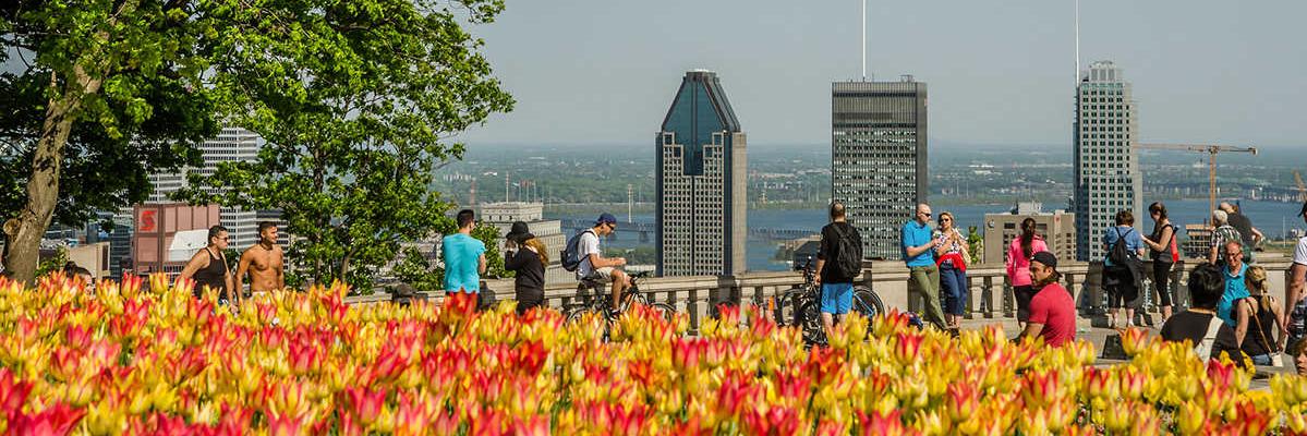 BruceMHicks's profile banner image