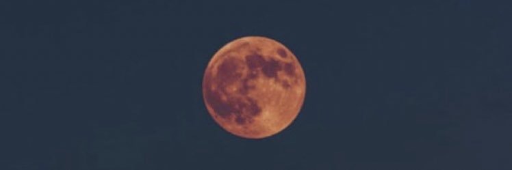 KatieMealey's profile banner image