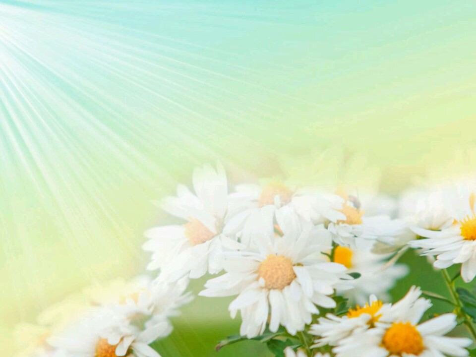 KNaomin's profile banner image