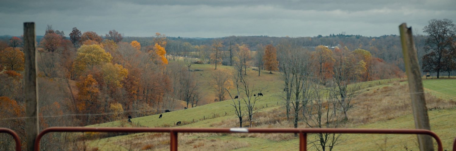 Sam Mirpoorian banner