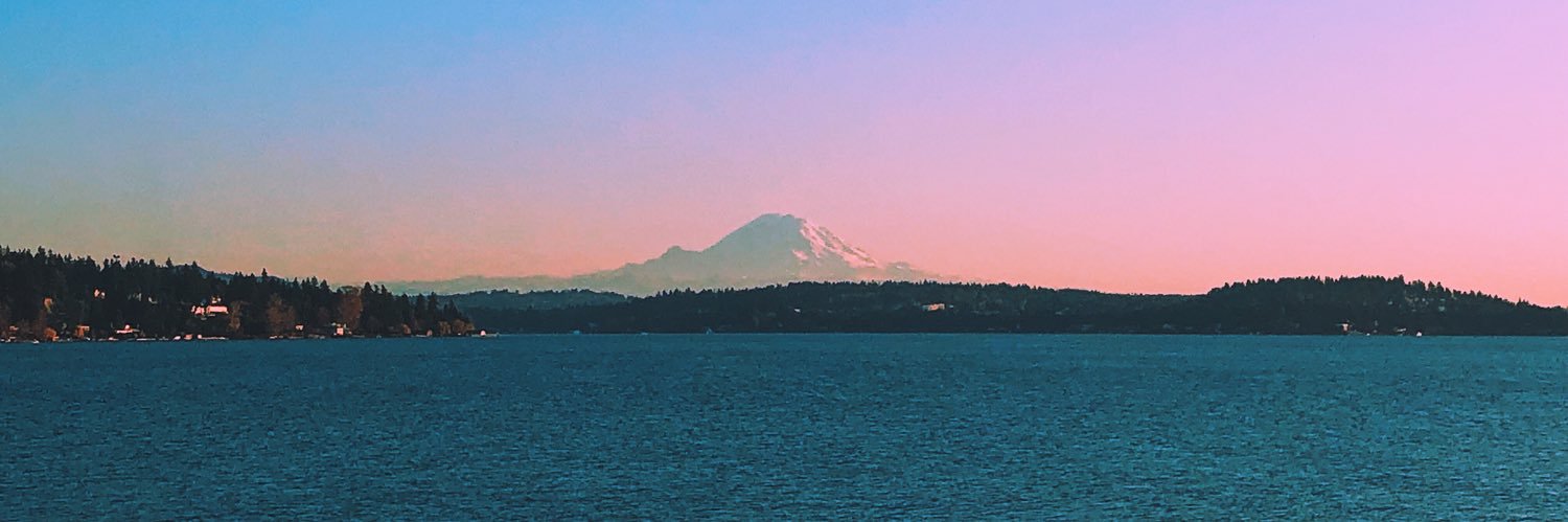 ignadactyl's profile banner image