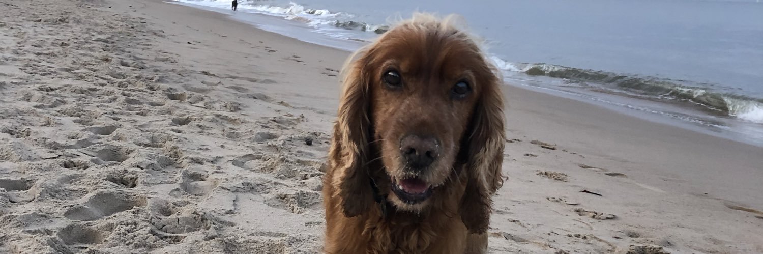 emilyjoness1's profile banner image