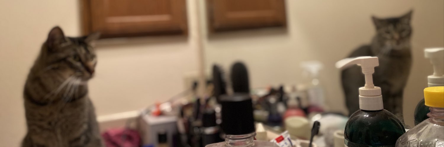 hlizabete's profile banner image