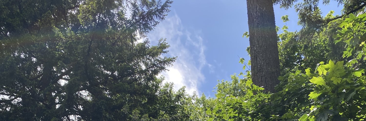 HyperSparrow's profile banner image