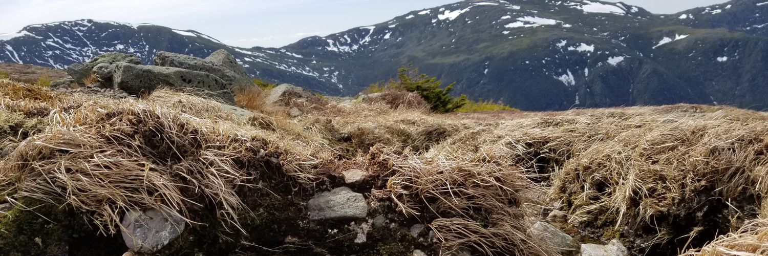 torianneee_'s profile banner image