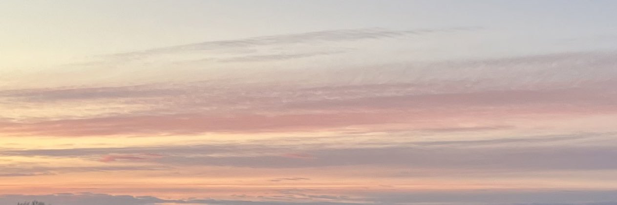 hannah_paty's profile banner image