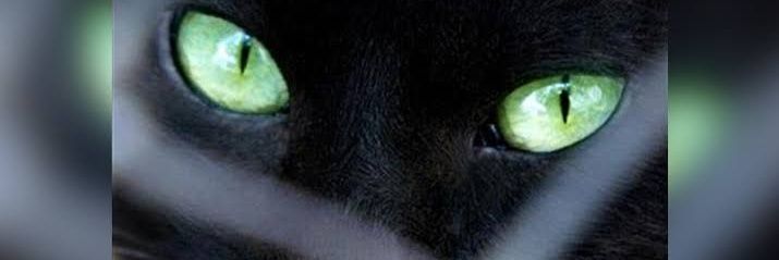 frammande's profile banner image