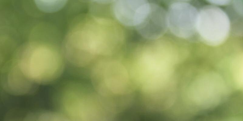 MicroCleanGreen's profile banner image
