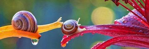 tmpestuoustpot's profile banner image