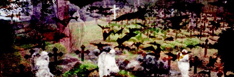 texas apparition banner