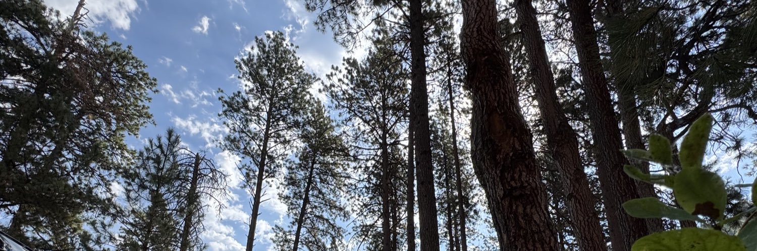 tpayne_22_'s profile banner image