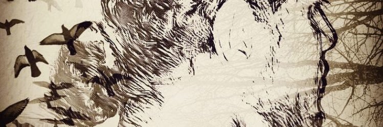 ALI_HMADE's profile banner image