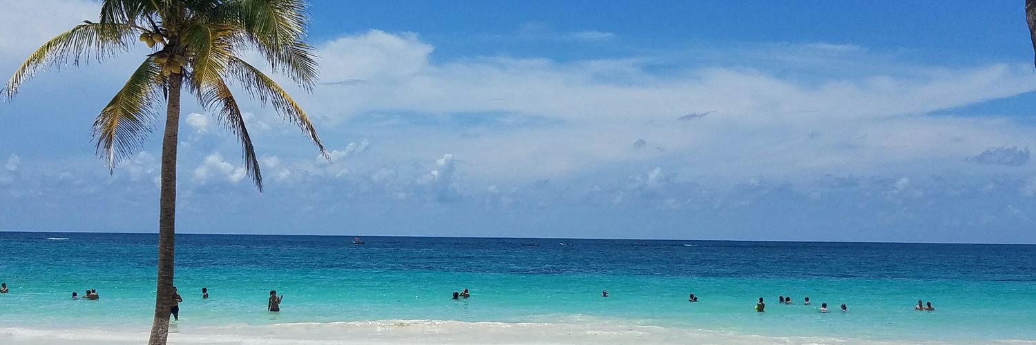 DeannaHand's profile banner image