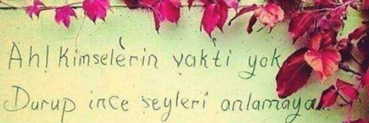 fulya__akay's profile banner image
