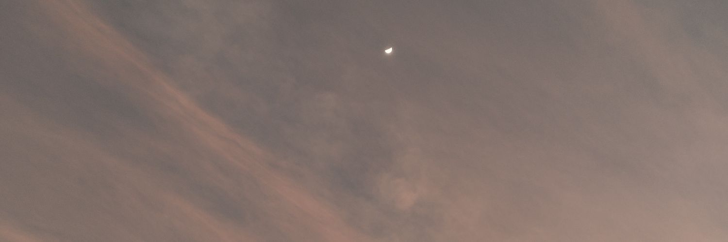 MitzyAArellanes's profile banner image