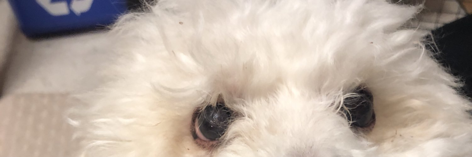 megstephs's profile banner image