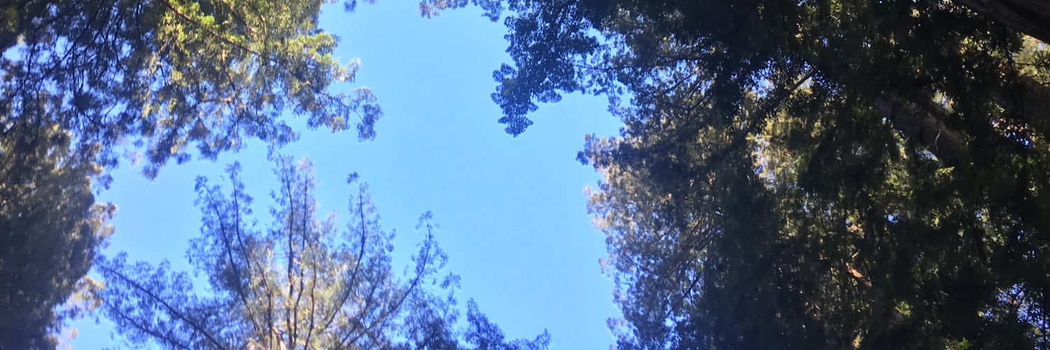 BretIzzo's profile banner image