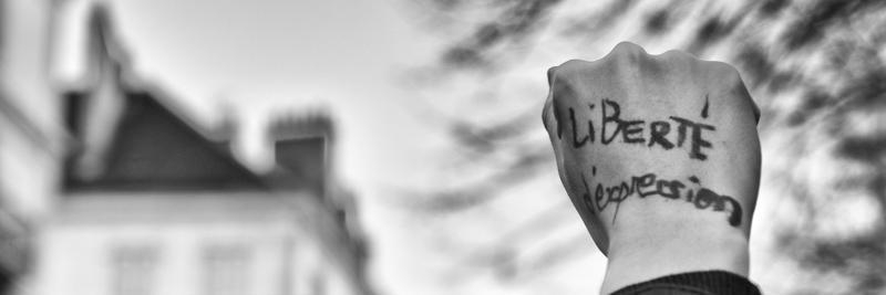 vsalanson's profile banner image