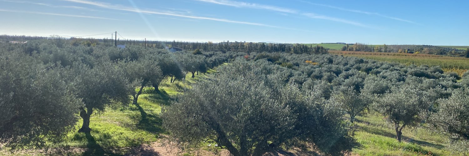Pacoramirezgut's profile banner image