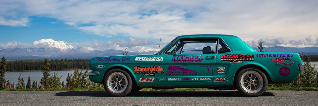 TeamMustangGirl's profile banner image