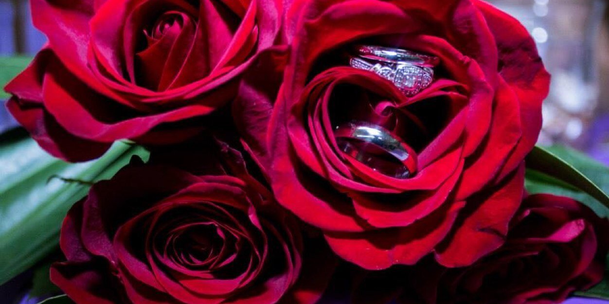 mrsfrostedflake's profile banner image