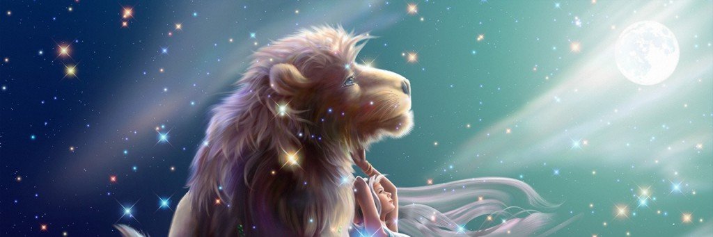 negraoro's profile banner image