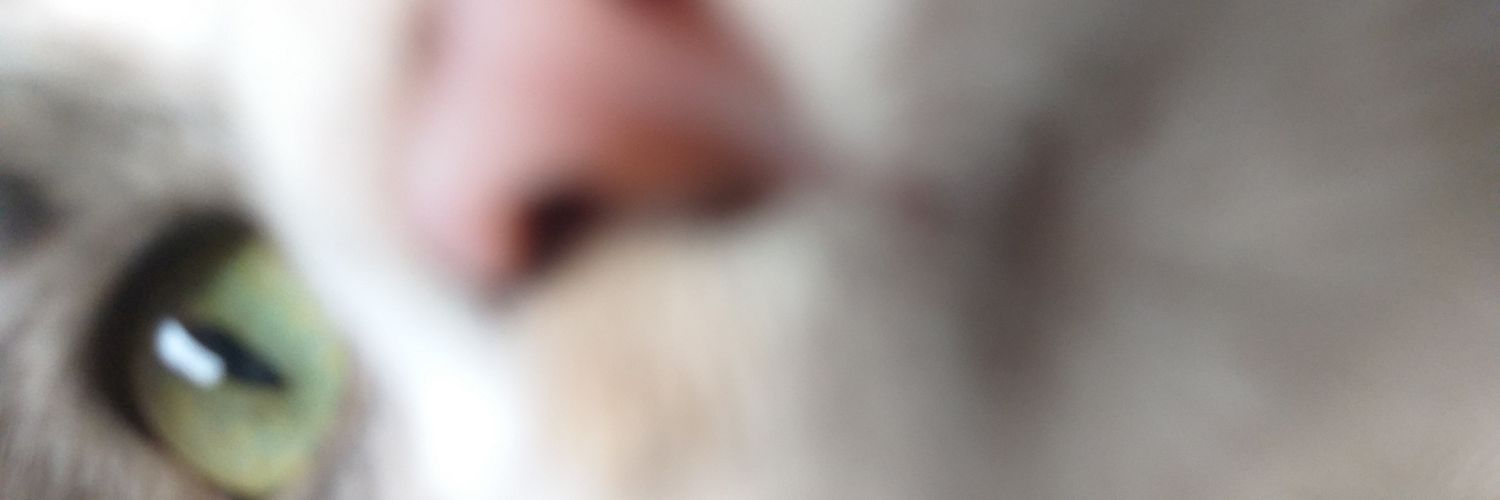 solchuus_'s profile banner image