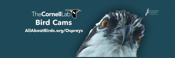 HellgateOsprey Profile Banner