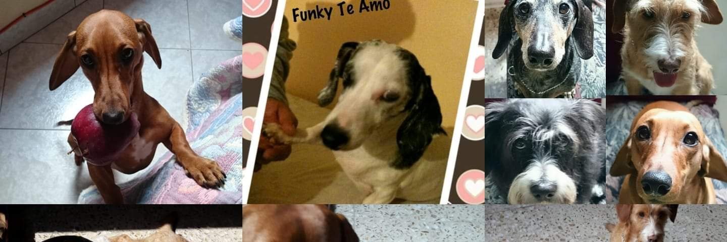 ♓⭐🍒 Bárbariux  🍒⭐❤&💫 banner