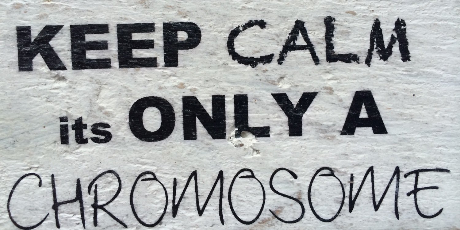 chromo18's profile banner image