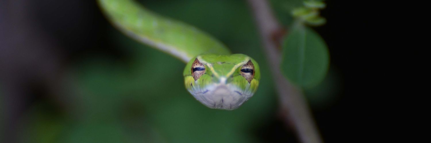 Hareesh118's profile banner image