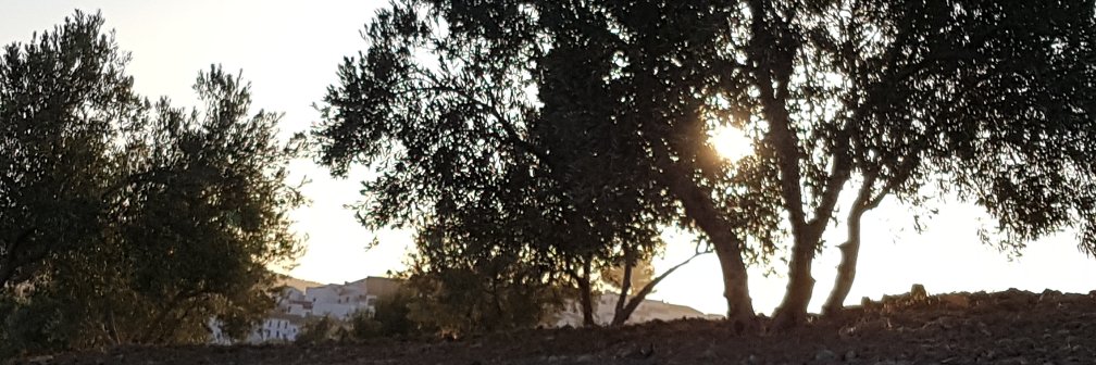 Agrosdigitales's profile banner image