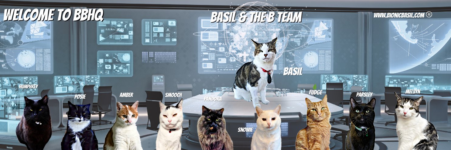 Basil & The B Team banner