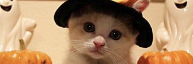 jennydontyoucry's profile banner image