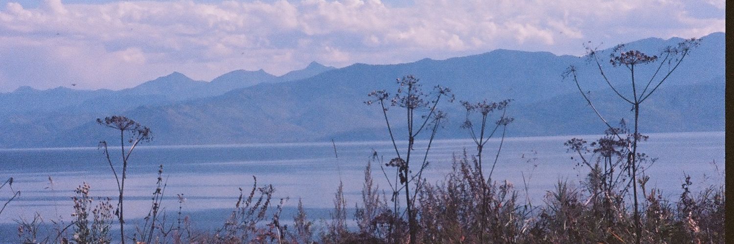 Holistic Artist banner