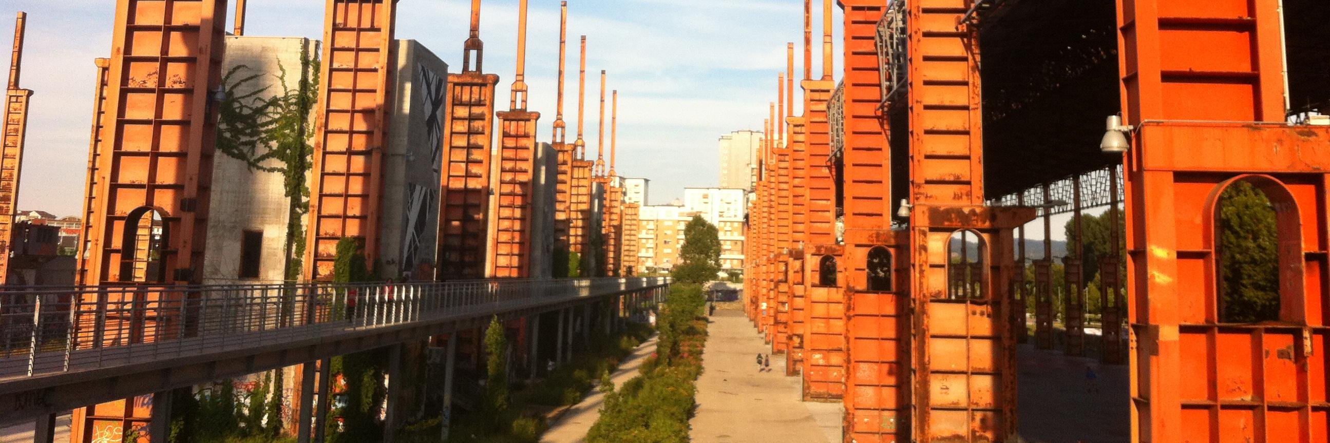 Maria Lissoni banner