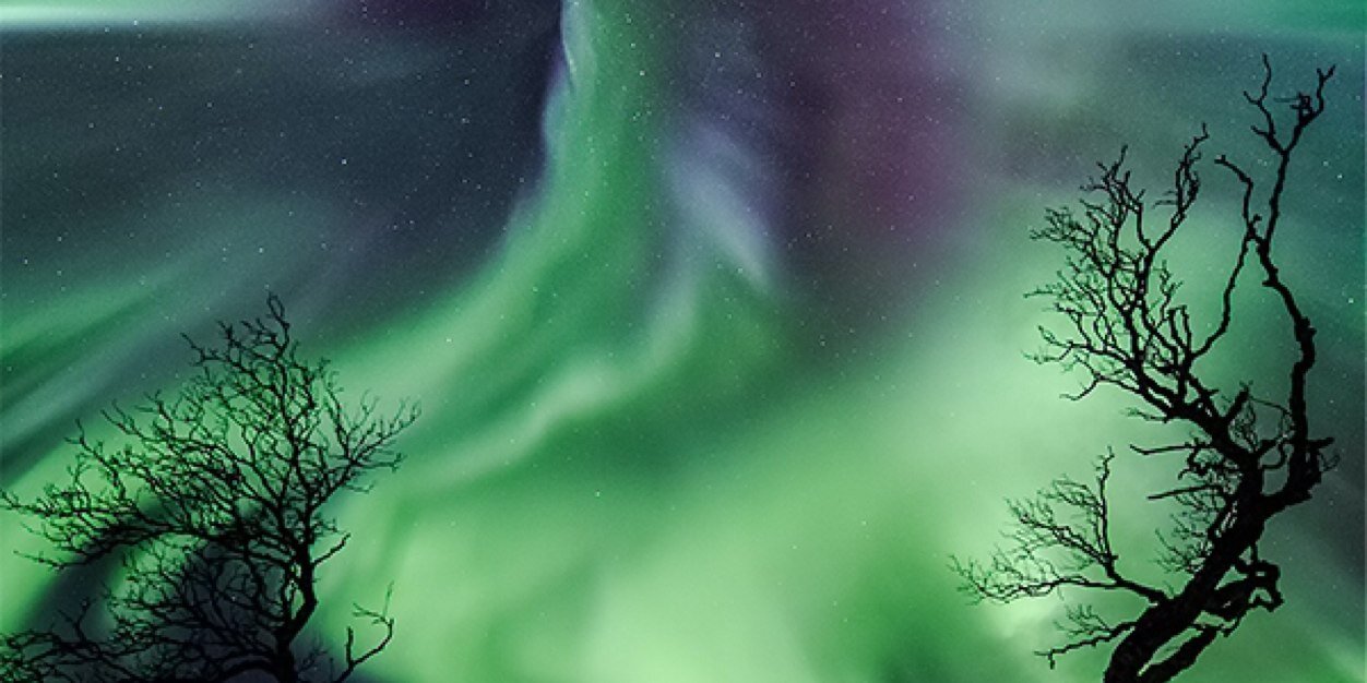 atrivinia's profile banner image