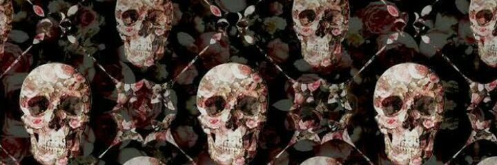 _paovi_'s profile banner image