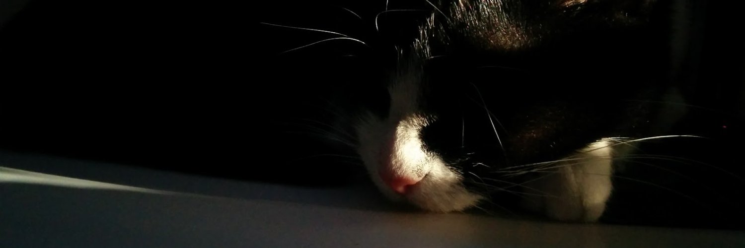 dude75's profile banner image