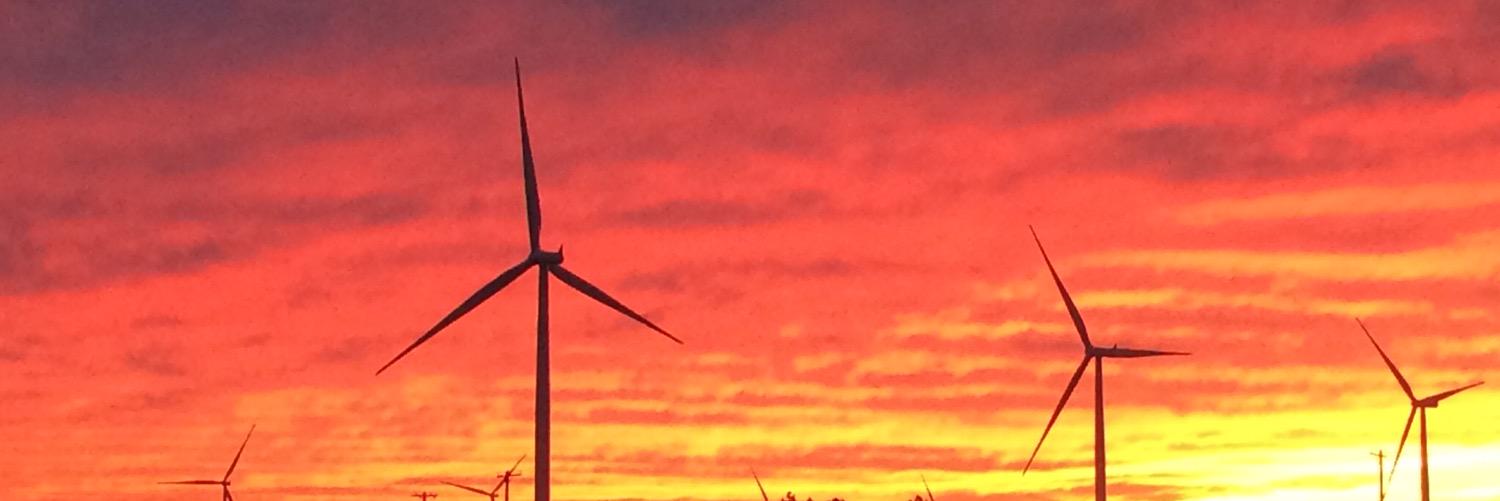 Beverly Temaat banner