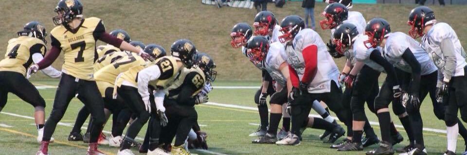 wilson_moose's profile banner image