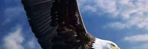 ooro_jp's profile banner image