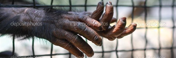 MichaelPCoppage Profile Banner