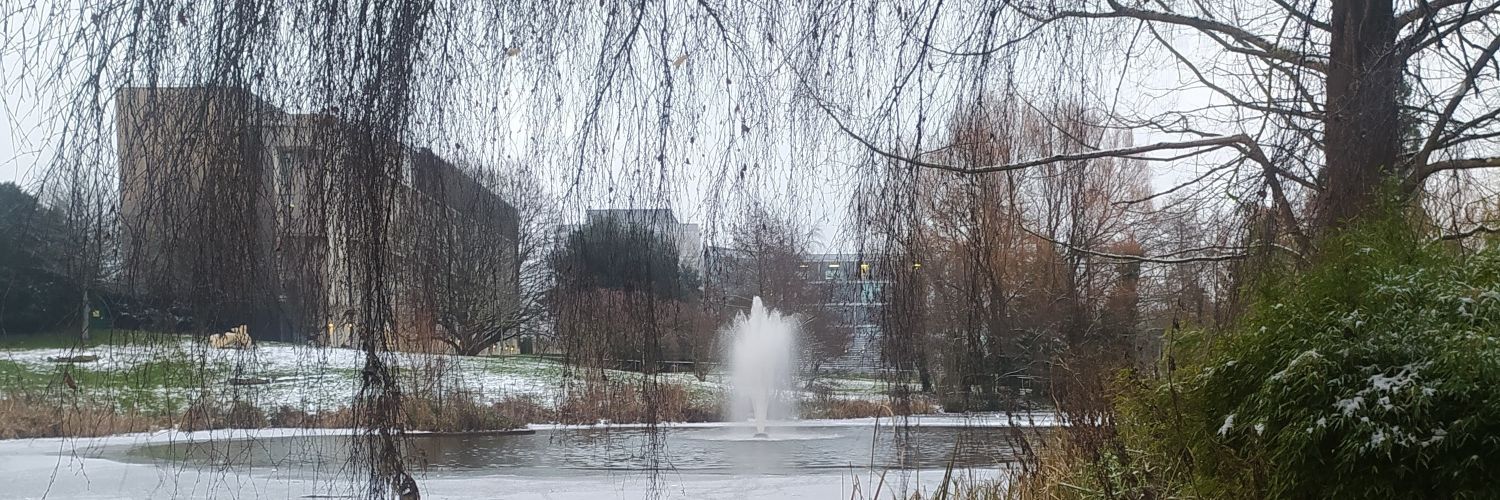 Josie Elliott banner