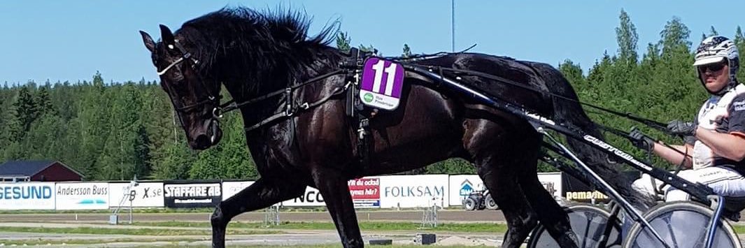 Anton Olofsson banner