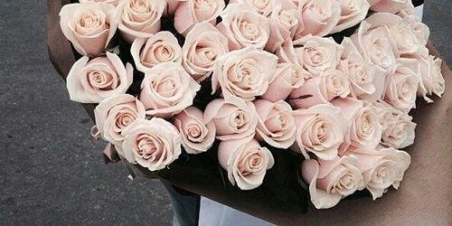 Daniëlle ∞ banner