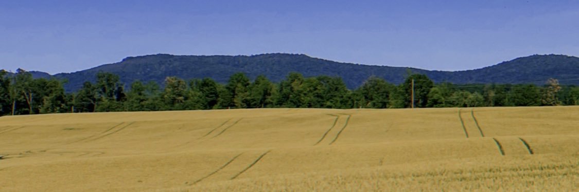 Raaveennn01's profile banner image