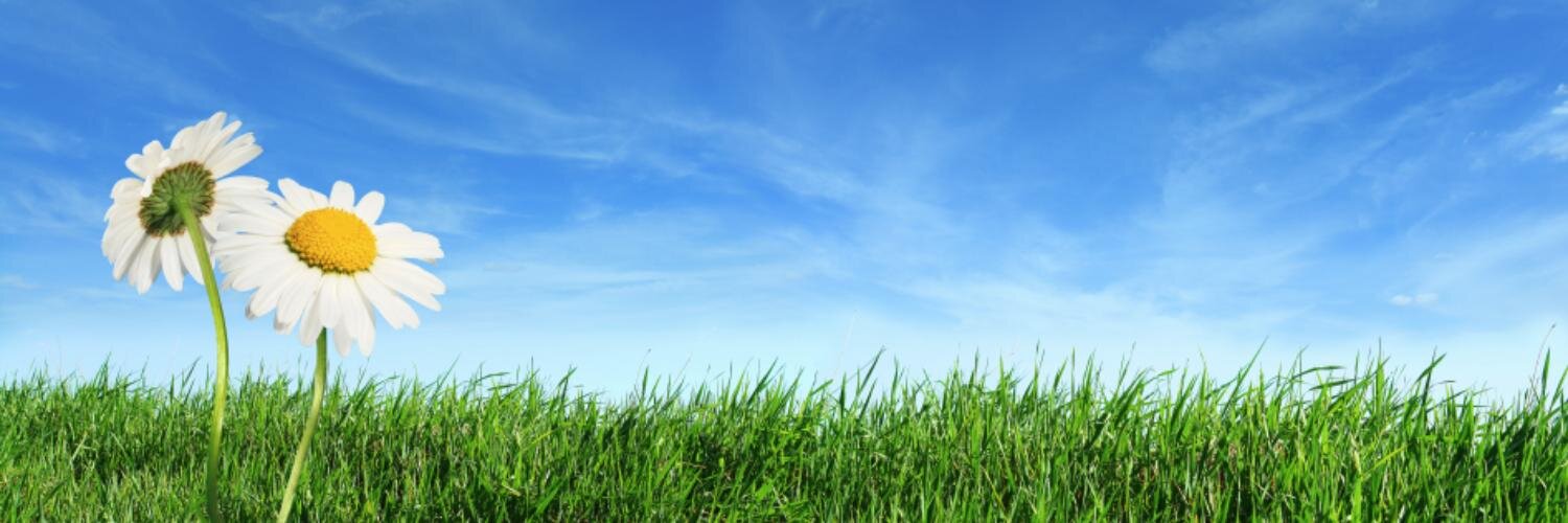 ChooseGreenUK's profile banner image