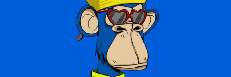 NiMoxa's profile banner image