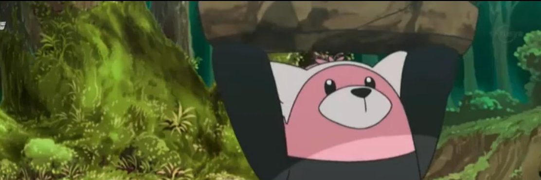 huskapet's profile banner image